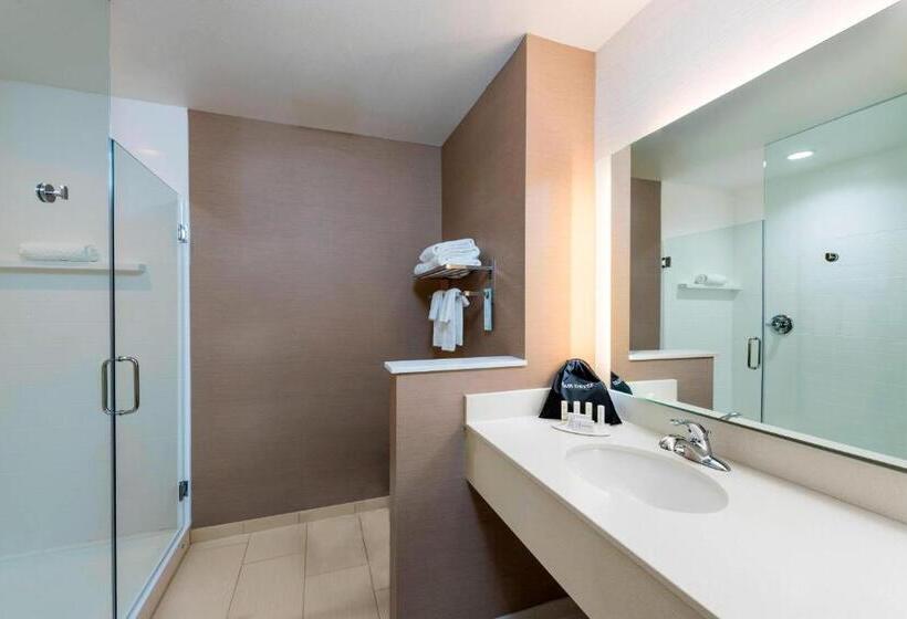 Люкс Кровать Кинг, Fairfield By Marriott Inn & Suites Palm Desert Coachella Valley