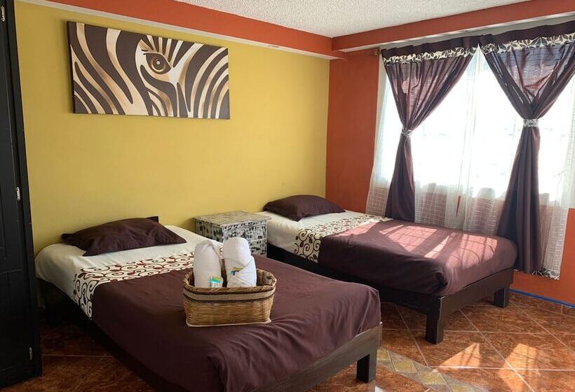 スイート, & Suites Cerro Roj0