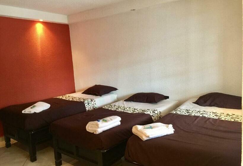 سرير فى غرفة مشتركه, & Suites Cerro Roj0
