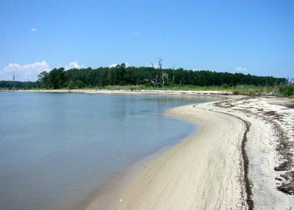 Семейный Номер, Stunning Retreat Carter S Creek Close To Tides Inn