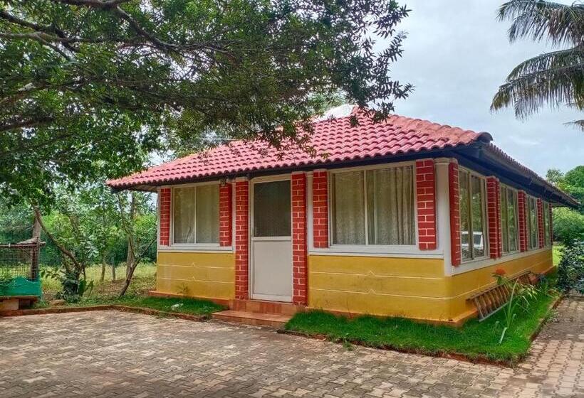 Номер Стандарт, Kabini Farm Stay