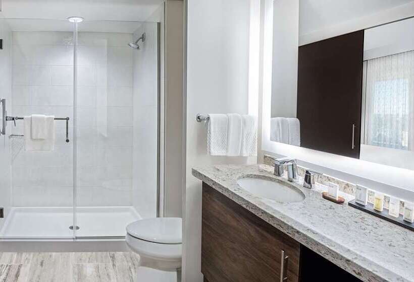 Студия Премиум, Home2 Suites By Hilton Mcallen