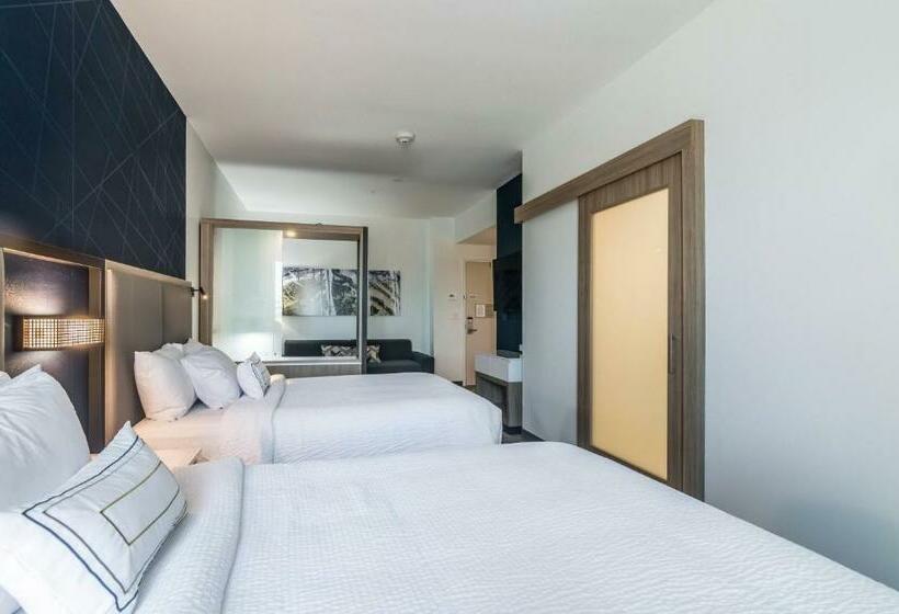 Люкс, Springhill Suites By Marriott Oklahoma City Downtown