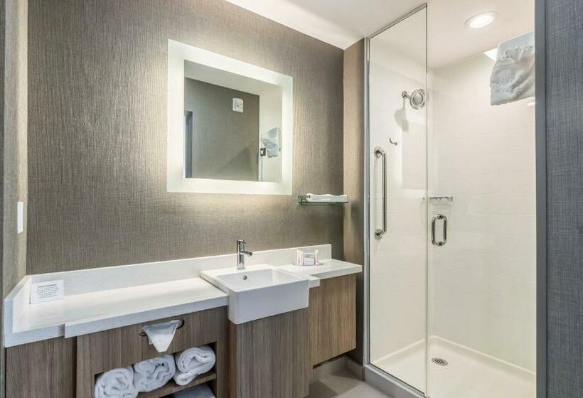Люкс Кровать Кинг, Springhill Suites By Marriott Oklahoma City Downtown