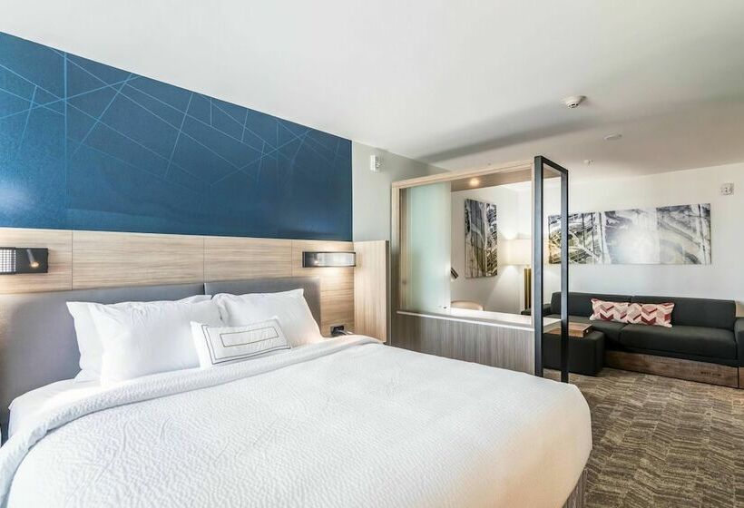 Люкс, Springhill Suites By Marriott Oklahoma City Downtown