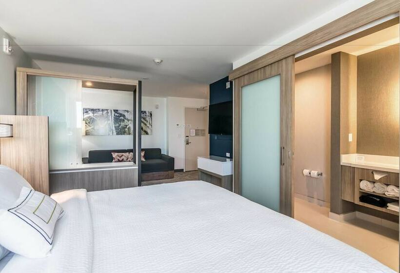 جناح, Springhill Suites By Marriott Oklahoma City Downtown