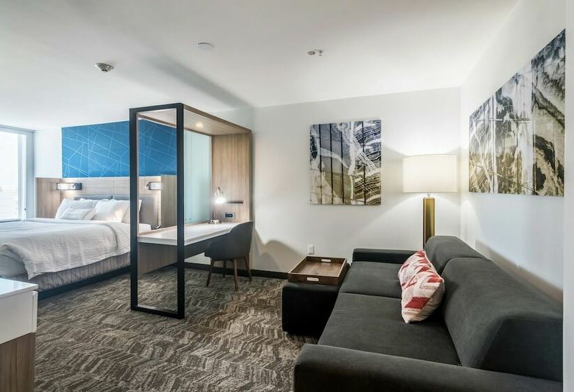 Люкс, Springhill Suites By Marriott Oklahoma City Downtown