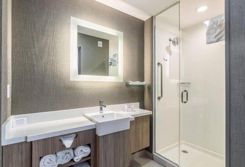 جناح سرير كينج, Springhill Suites By Marriott Oklahoma City Downtown