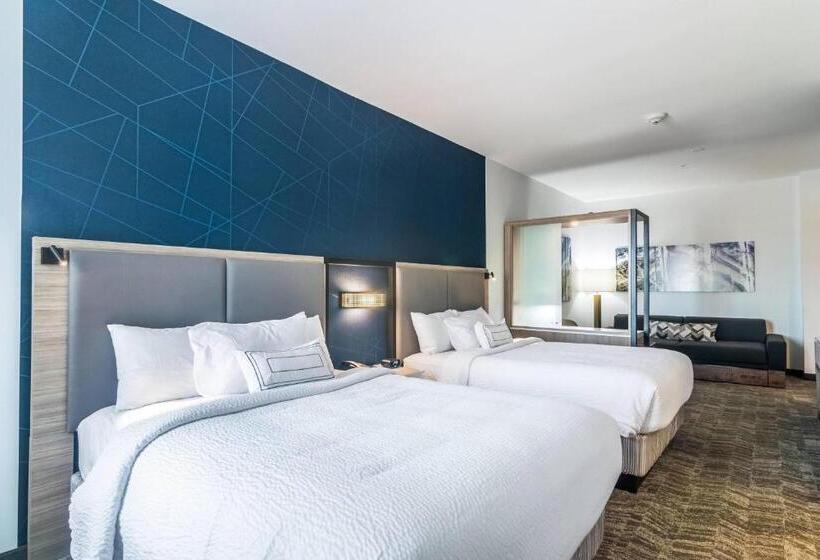 Люкс, Springhill Suites By Marriott Oklahoma City Downtown
