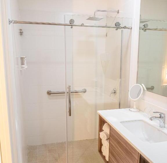 اتاق استاندارد با چشم‌انداز استخر, Aruba Boutique & Art Hotel, Bw Signature Collection Only Adults