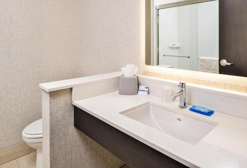 장애인을 위한 킹사이즈 침대 스탠다드 룸, Holiday Inn Express & Suites   Kansas City   Lee S Summit, An Ihg