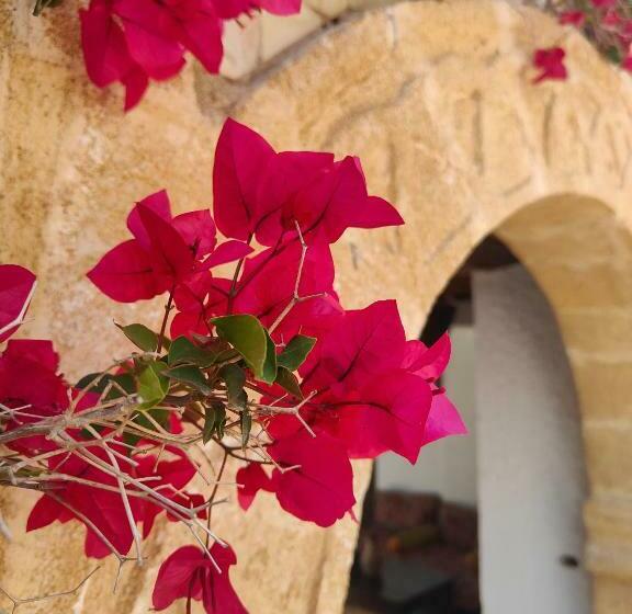 Номер Стандарт, Riad Eucalyptus