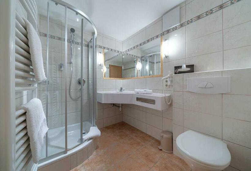 اتاق استاندارد با بالکن, Burghotel Alpenglühn
