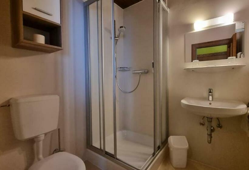 Номер Стандарт с Балконом, Pension Schöne Aussicht