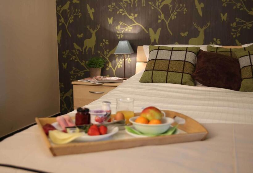 Номер Deluxe с Террасой, B&b Hippo Droom