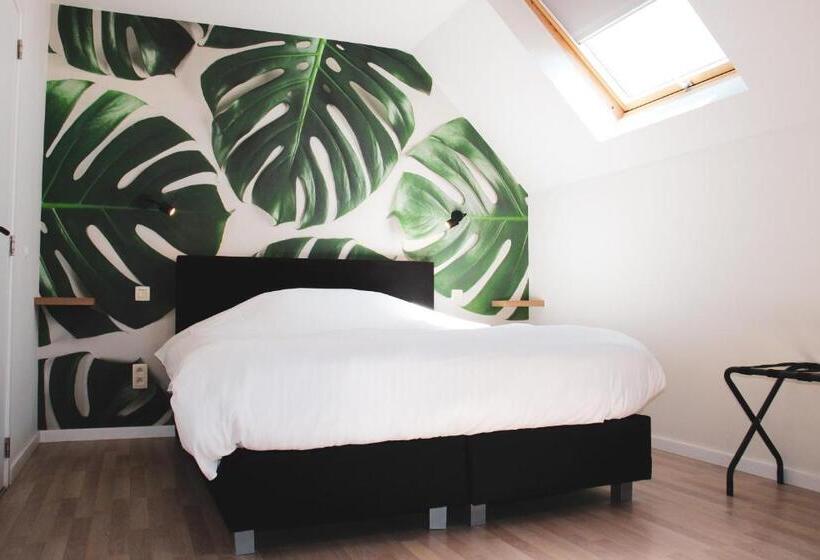 패밀리 룸, B&b Villa Verde