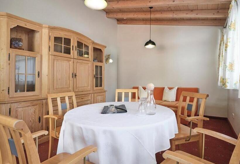 Апартаменты 1 Спальня с Террасой, Garni Pinzgau, Bernd Hüttl