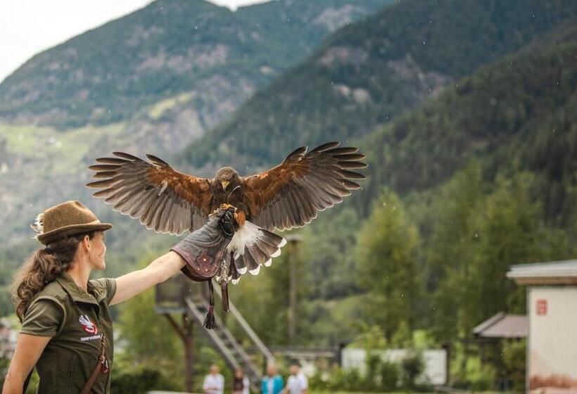 Люкс Вид на Горы, Venter Bergwelt