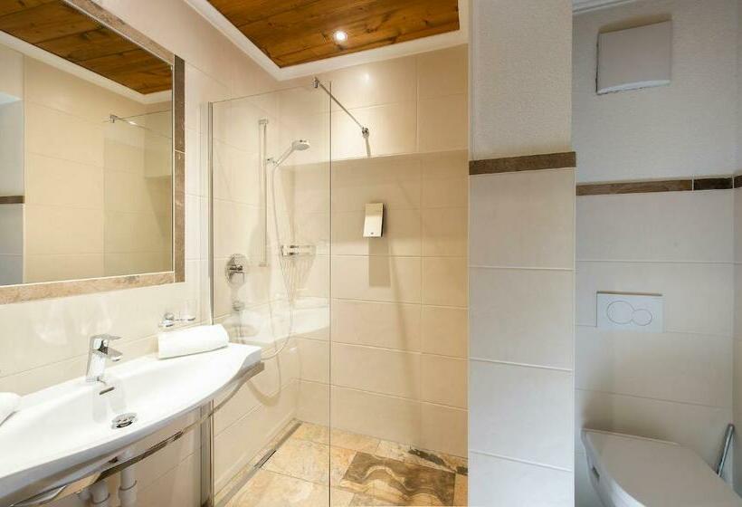 Номер Стандарт, Alpenwellnesshotel Gasteigerhof