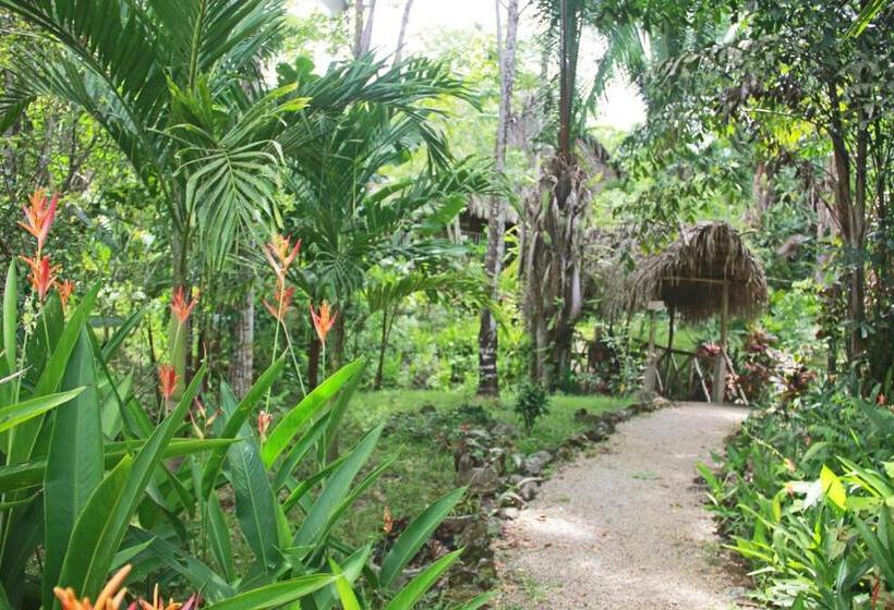 Бунгало Стандарт Вид на Сад, Sun Creek Lodge