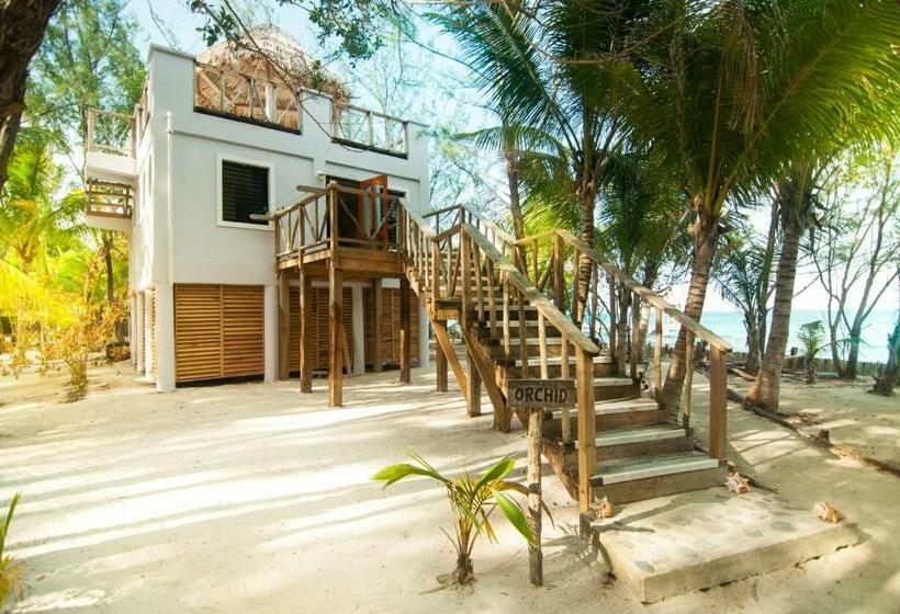 오두막, Thatch Caye Resort A Muy'ono Resort
