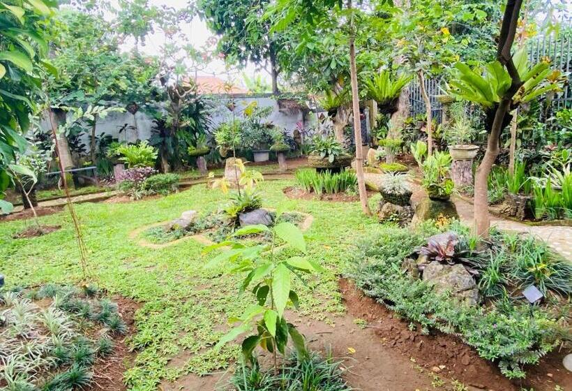 Standard Haveudsigt, Kts Balinese Villas