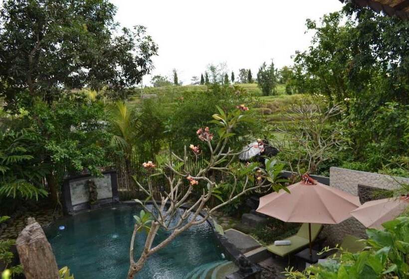 اتاق استاندارد, Kts Balinese Villas