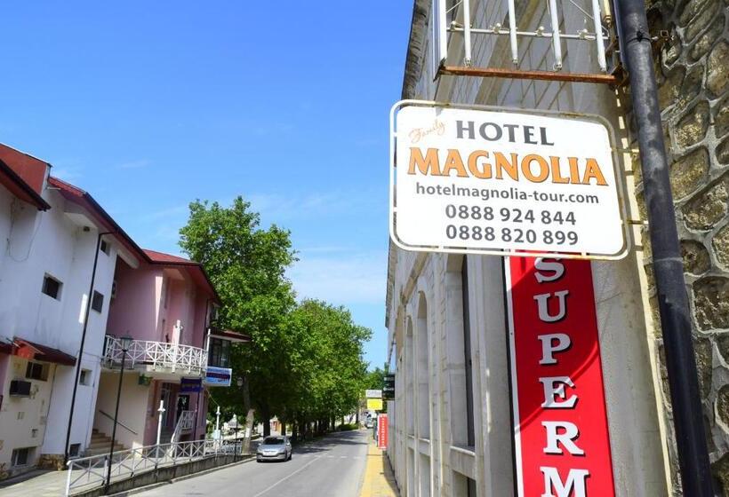 经济房, Family Hotel Magnolia