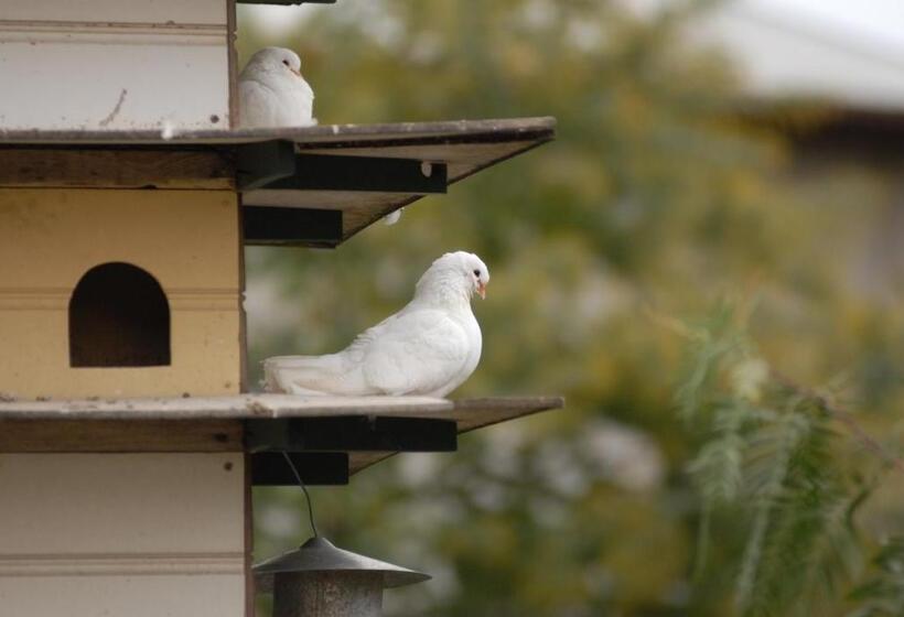 침실 2개 주택, The Dove Cote