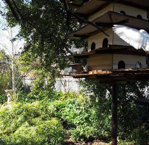 침실 2개 주택, The Dove Cote