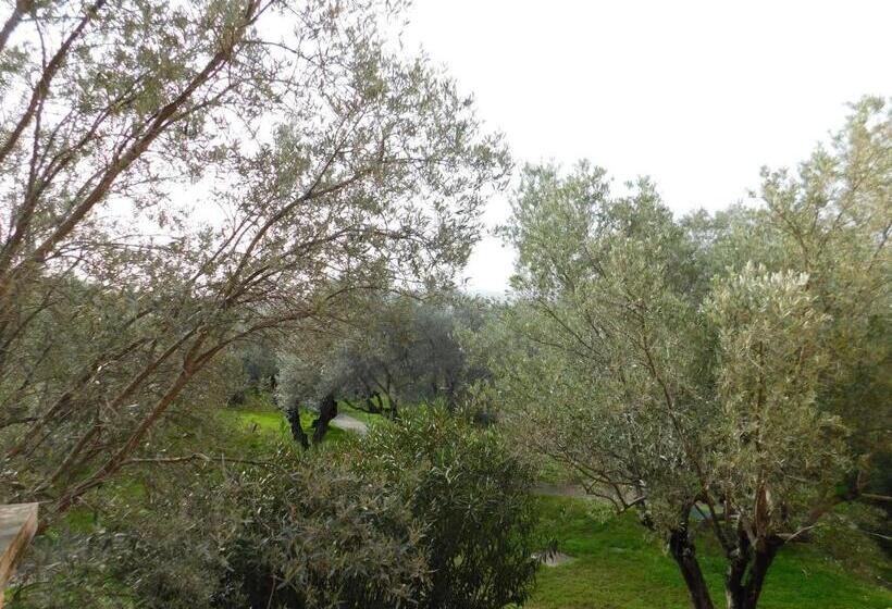 Номер Стандарт, Appartamenti Sant Andrea