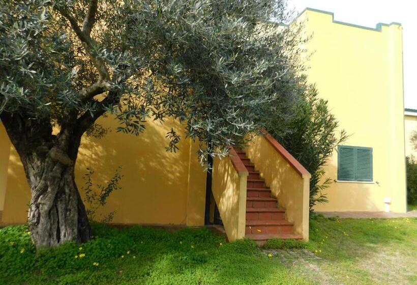Номер Стандарт, Appartamenti Sant Andrea