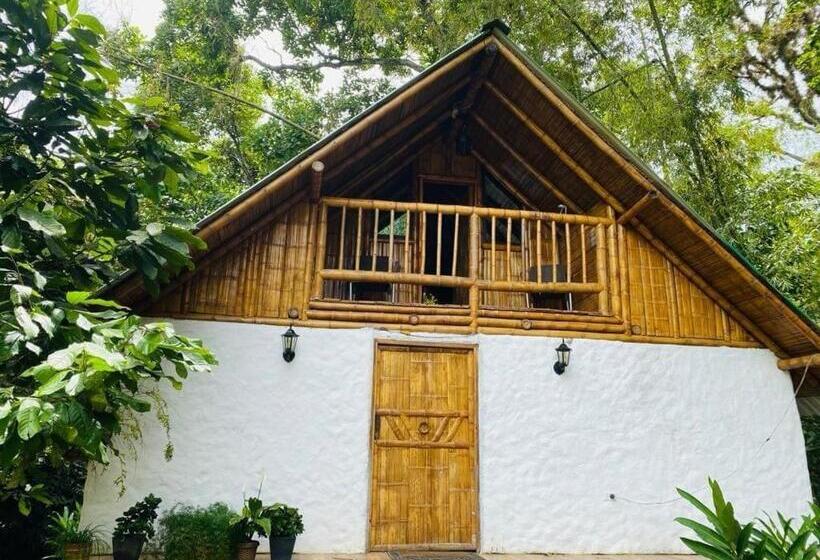 Семейное Бунгало, Cabañas Monteleón Paicol  Huila
