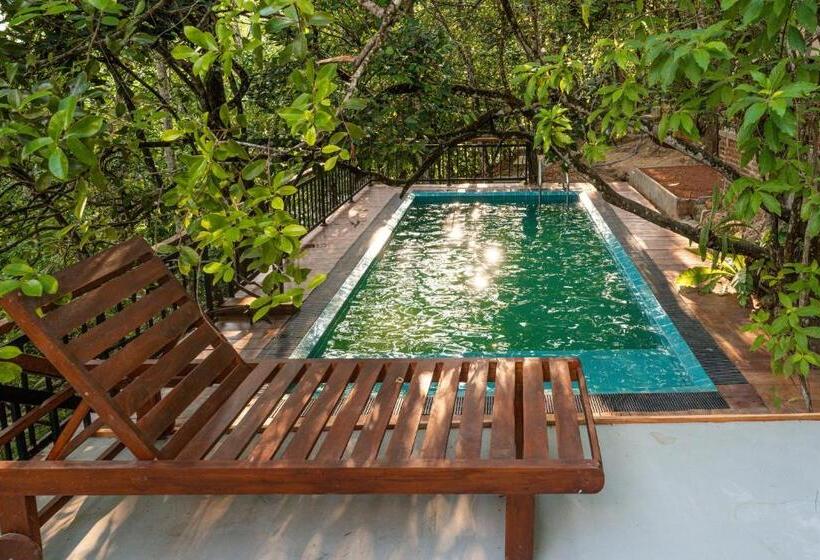 家庭间, Trance Rabara Resort