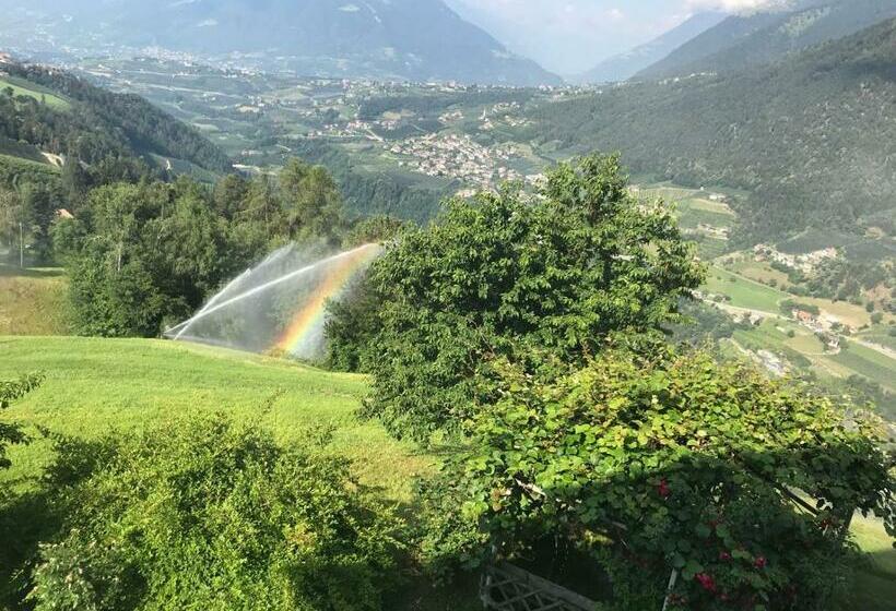 Quarto standard, Gasserhof Garni & Apartment