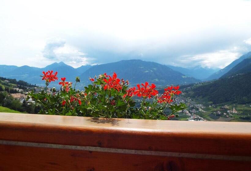 Quarto standart com varanda, Gasserhof Garni & Apartment