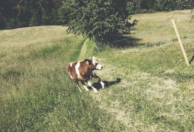 חדר דלוקס יחיד, Biogasthaus Plonerhof