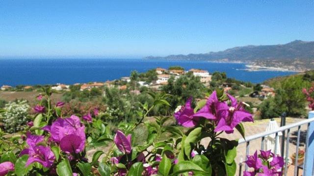 Номер Superior Вид на Море, Villa Pischinas