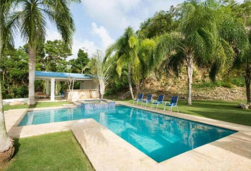 سوئیت با تخت بزرگ, Manati World Point Inn