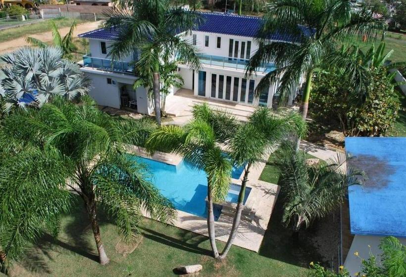 اتاق لوکس, Manati World Point Inn