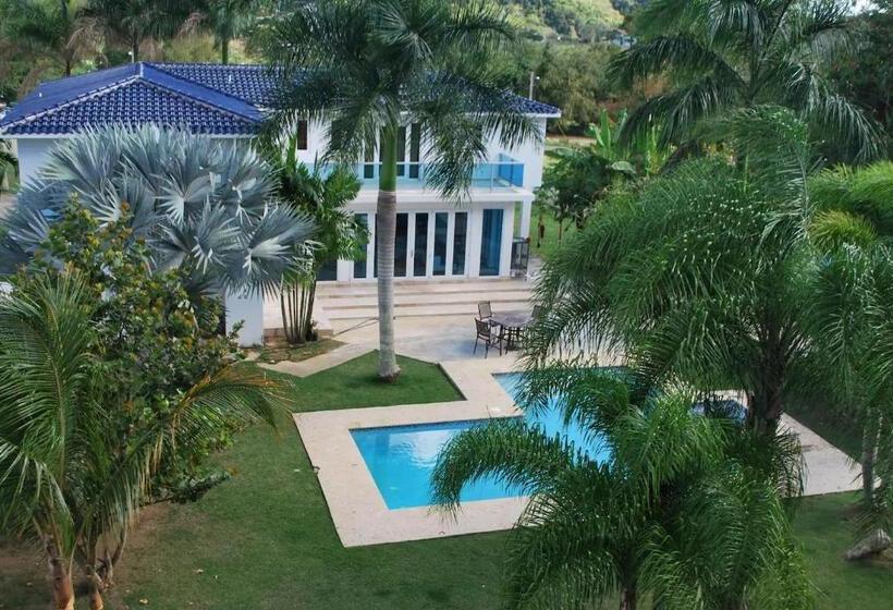 اتاق سوپریور, Manati World Point Inn