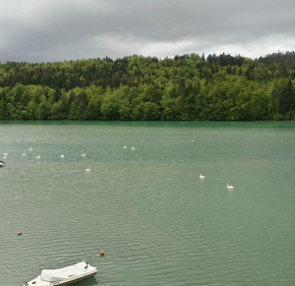 اتاق استاندارد با چشم‌انداز دریاچه, Gostisce Jezero