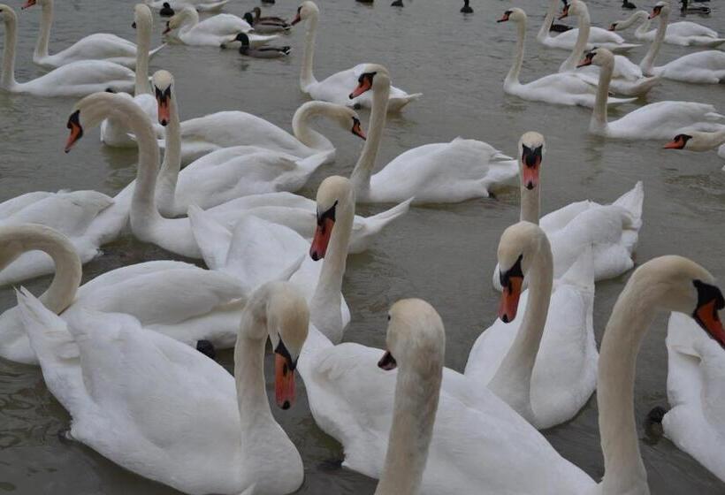 اتاق استاندارد با چشم‌انداز دریاچه, Gostisce Jezero