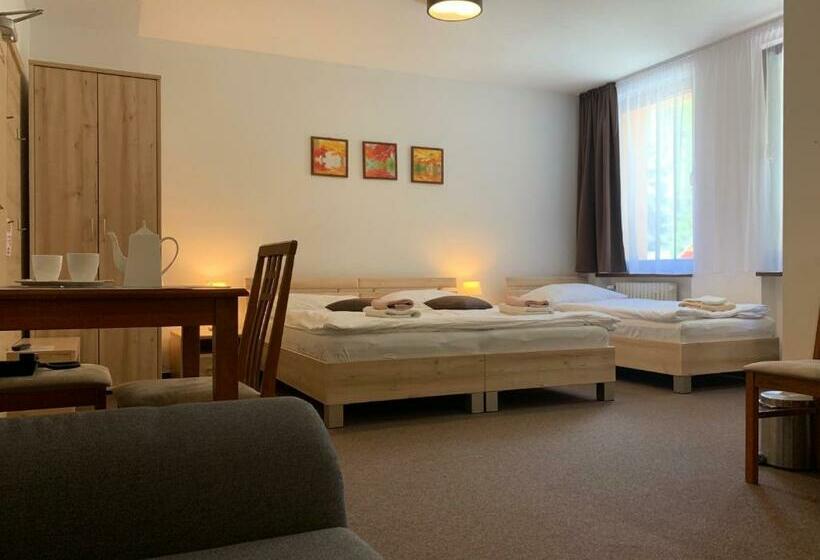 Номер Стандарт Трехместный, Lopušná Dolina Resort