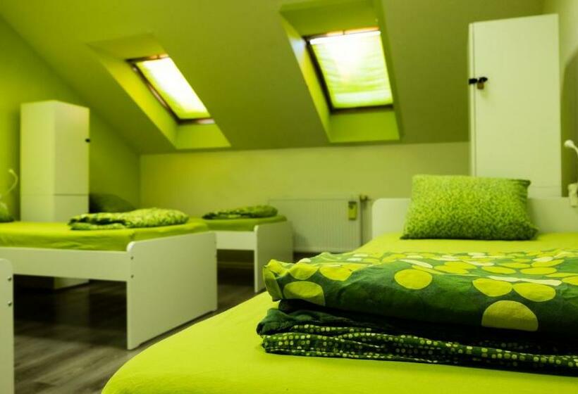 تختخواب در اتاق مشترک, Nitra Glycerin Hostel