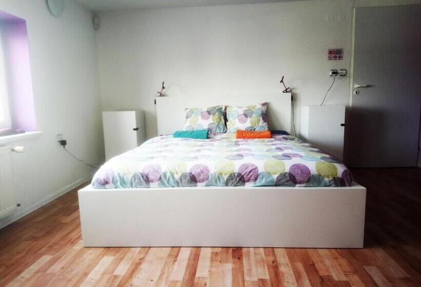 اتاق خانوادگی با سرویس بهداشتی مشترک, Nitra Glycerin Hostel