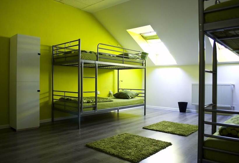 تختخواب در اتاق مشترک, Nitra Glycerin Hostel