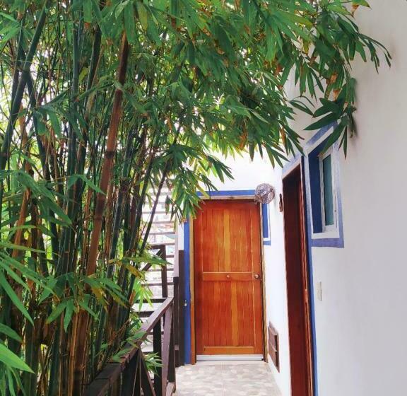 スタンダード４人部屋, Jardin Mahahual
