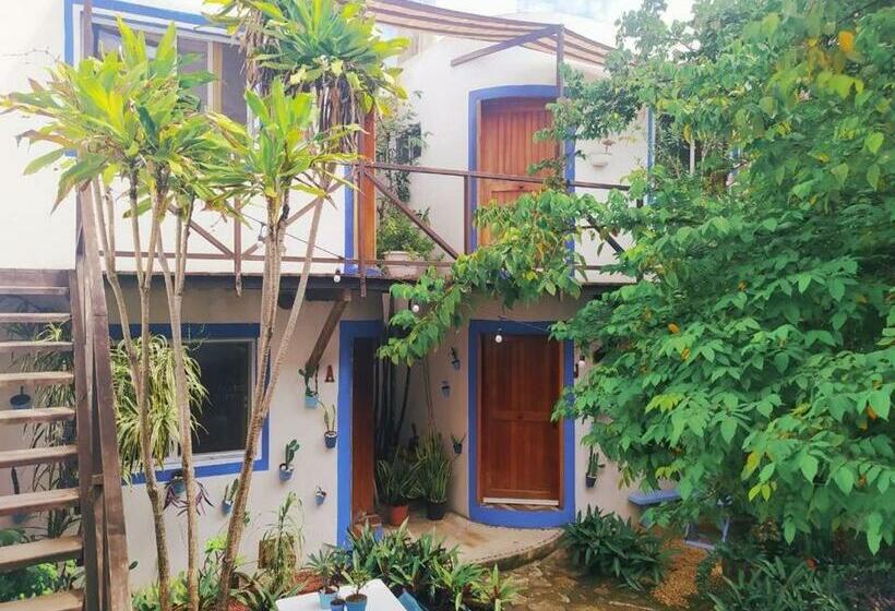 スタンダードルーム, Jardin Mahahual
