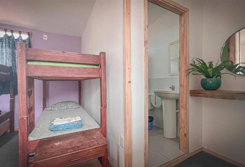 공동 객실, Compay Hostel Punta Del Diablo
